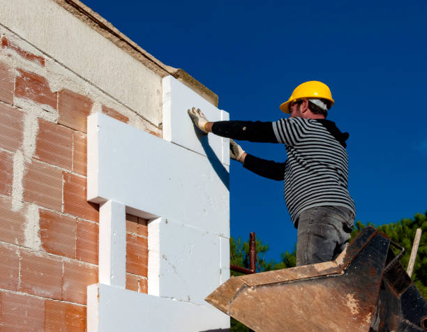 Best Local Insulation Services  in Seven Points, TX