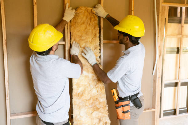 Professional Insulation Contractor in Seven Points, TX