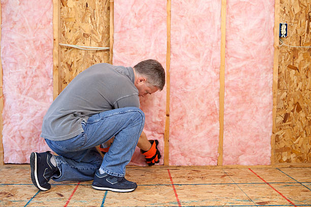 Best Insulation Repair Services  in Seven Points, TX